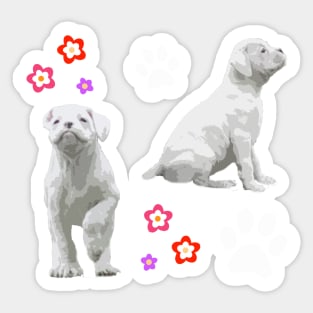 Copy of White Boxer Puppy Gifts Sticker